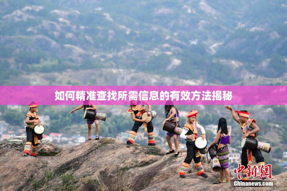 如何精准查找所需信息的有效方法揭秘