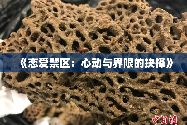 《恋爱禁区：心动与界限的抉择》
