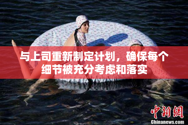 与上司重新制定计划，确保每个细节被充分考虑和落实