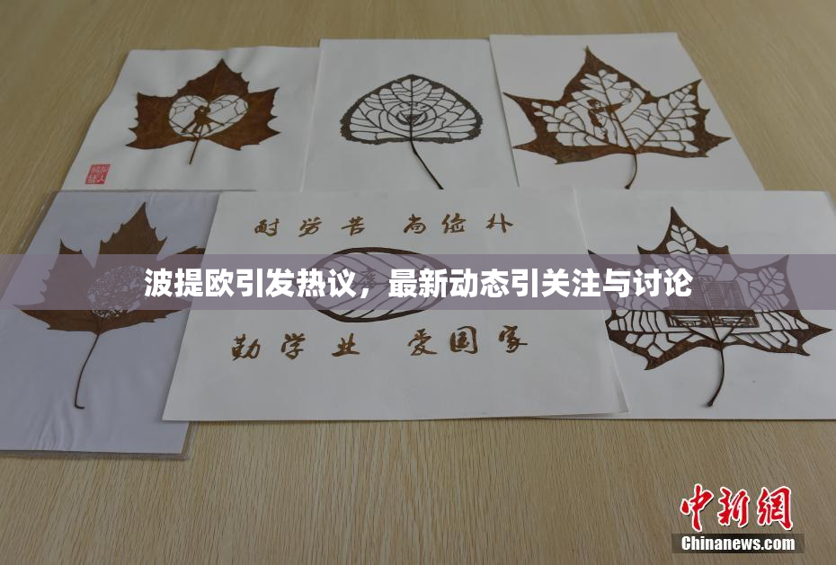 波提欧引发热议，最新动态引关注与讨论