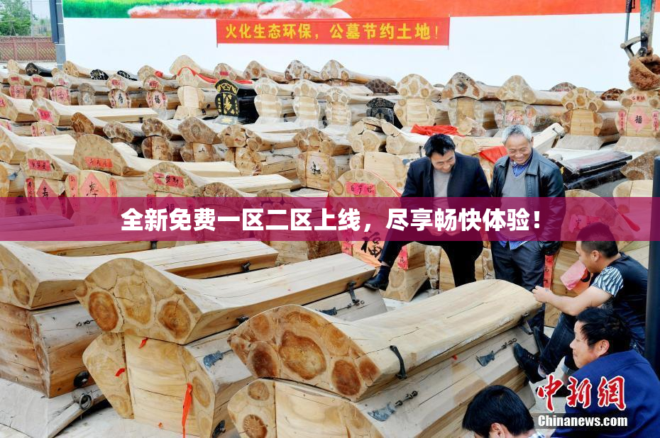 全新免费一区二区上线，尽享畅快体验！