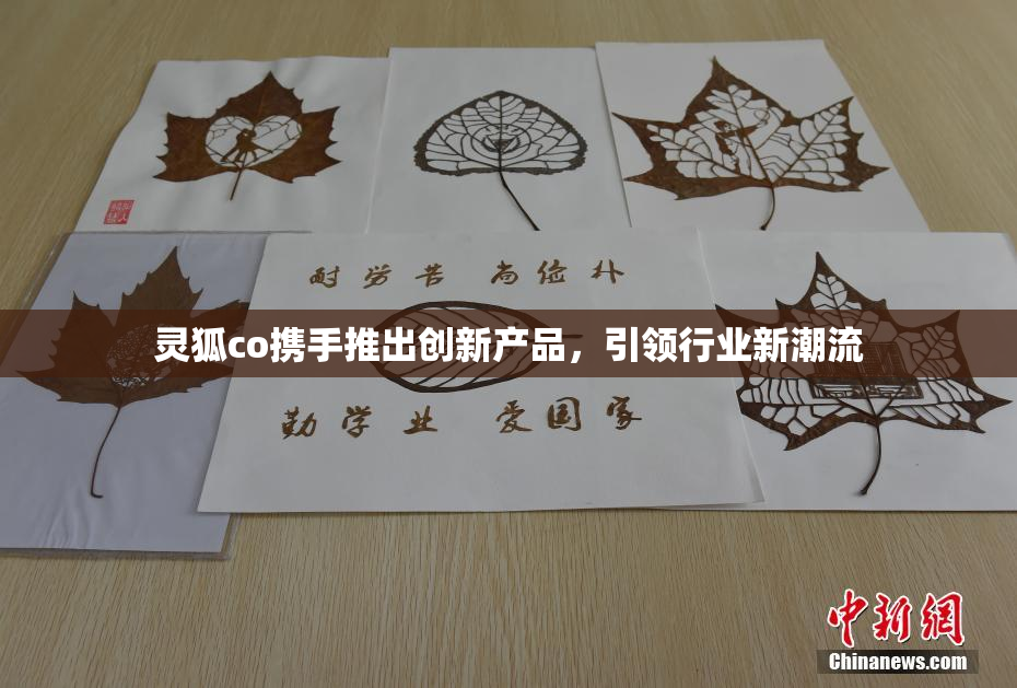 灵狐co携手推出创新产品，引领行业新潮流