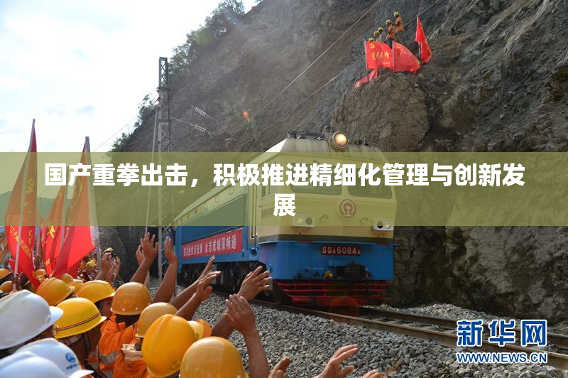 国产重拳出击，积极推进精细化管理与创新发展