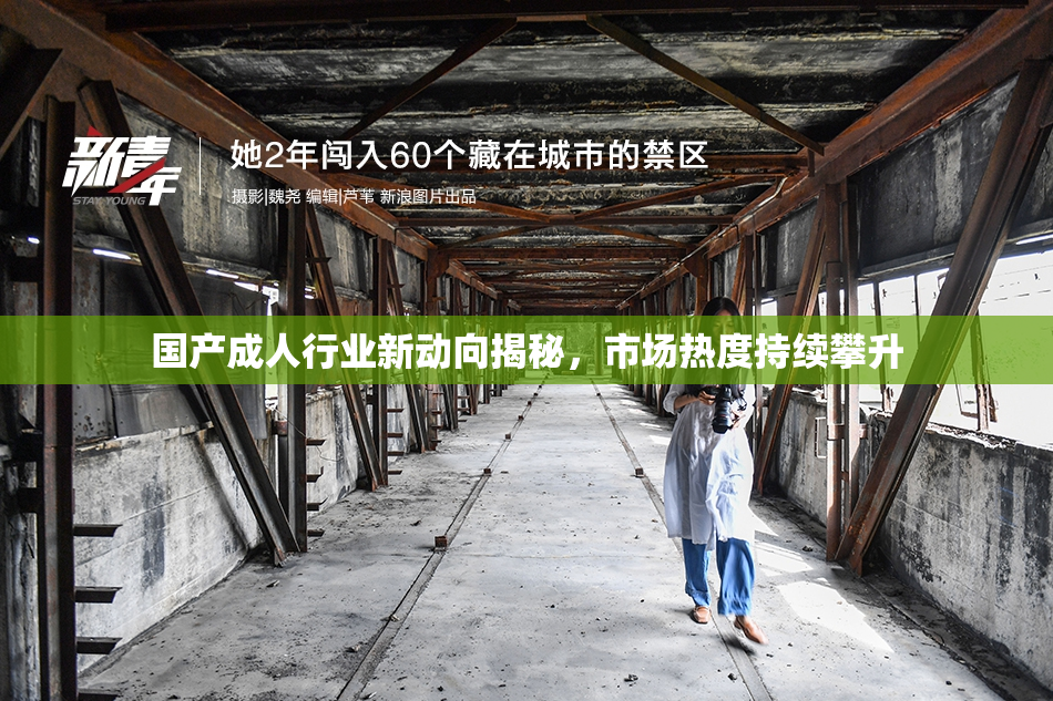 国产成人行业新动向揭秘，市场热度持续攀升
