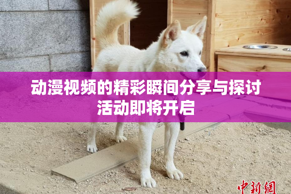 动漫视频的精彩瞬间分享与探讨活动即将开启