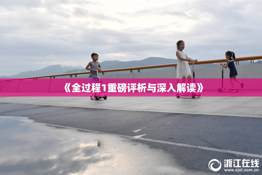 《全过程1重磅评析与深入解读》