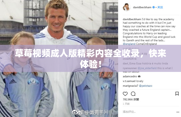 草莓视频成人版精彩内容全收录，快来体验！