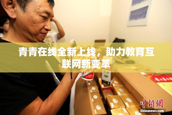 青青在线全新上线，助力教育互联网新变革