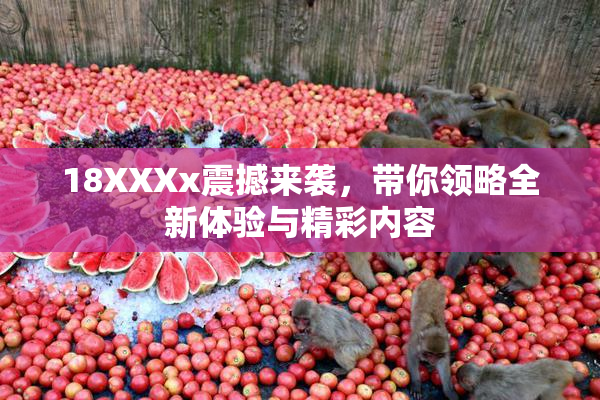 18XXXx震撼来袭，带你领略全新体验与精彩内容