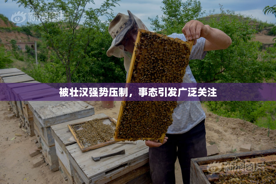 被壮汉强势压制，事态引发广泛关注