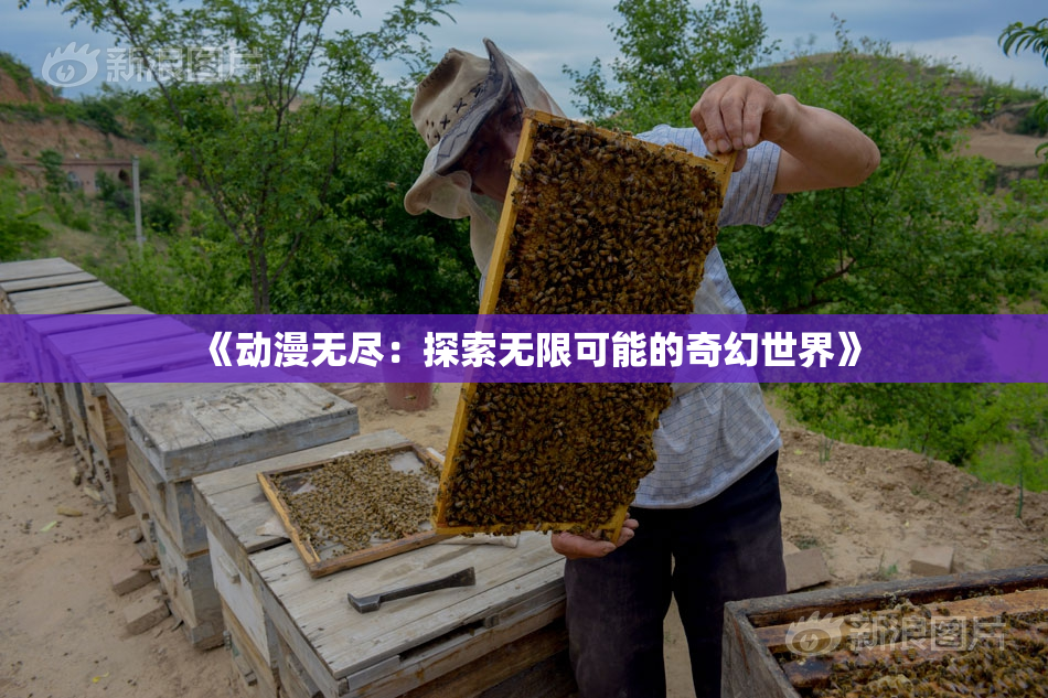 《动漫无尽：探索无限可能的奇幻世界》