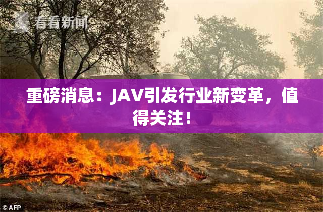 重磅消息：JAV引发行业新变革，值得关注！