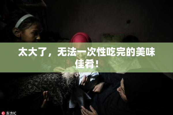 太大了，无法一次性吃完的美味佳肴！