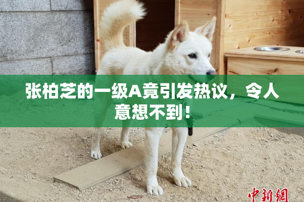 张柏芝的一级A竟引发热议，令人意想不到！