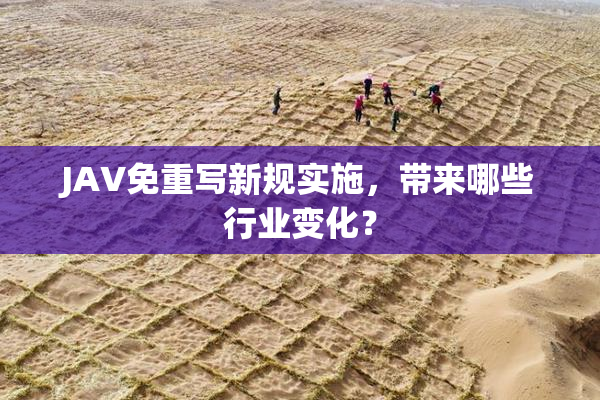 JAV免重写新规实施，带来哪些行业变化？