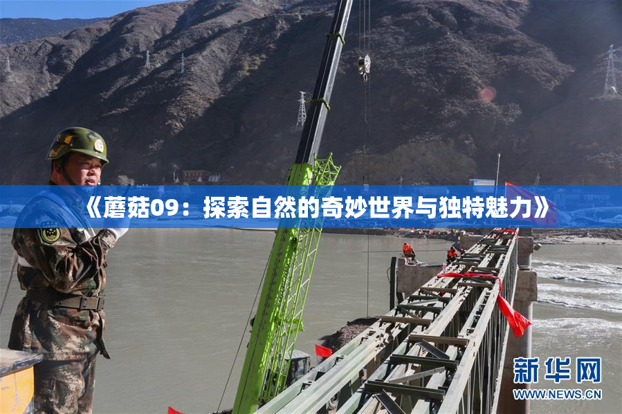 《蘑菇09：探索自然的奇妙世界与独特魅力》