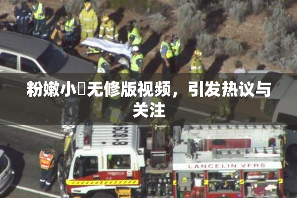 粉嫩小泬无修版视频，引发热议与关注