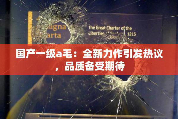 国产一级a毛：全新力作引发热议，品质备受期待