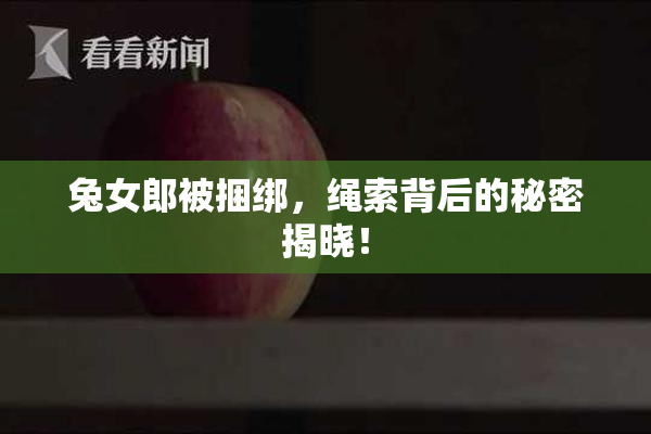 兔女郎被捆绑，绳索背后的秘密揭晓！