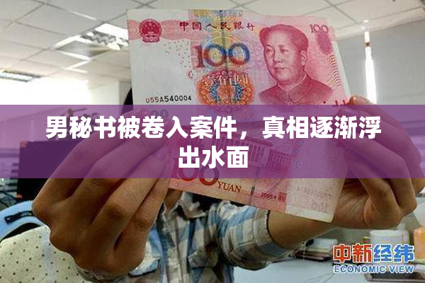 男秘书被卷入案件，真相逐渐浮出水面
