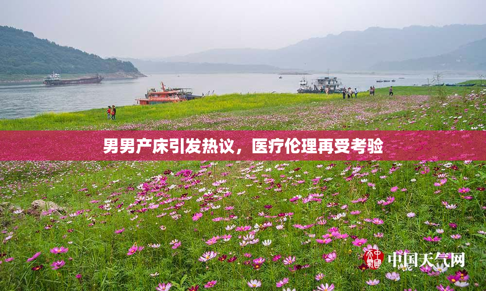 男男产床引发热议，医疗伦理再受考验
