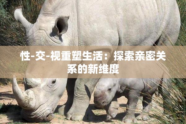 性-交-视重塑生活：探索亲密关系的新维度