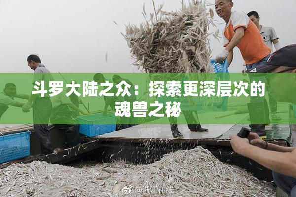 斗罗大陆之众：探索更深层次的魂兽之秘