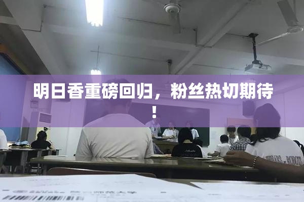 明日香重磅回归，粉丝热切期待！