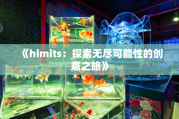 《himits：探索无尽可能性的创意之旅》