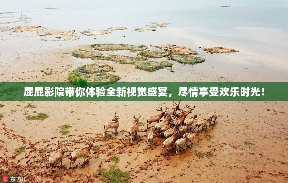 屁屁影院带你体验全新视觉盛宴，尽情享受欢乐时光！