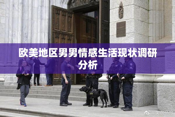 欧美地区男男情感生活现状调研分析