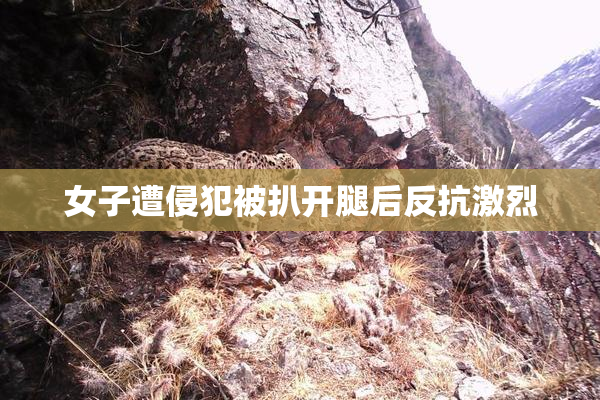 女子遭侵犯被扒开腿后反抗激烈