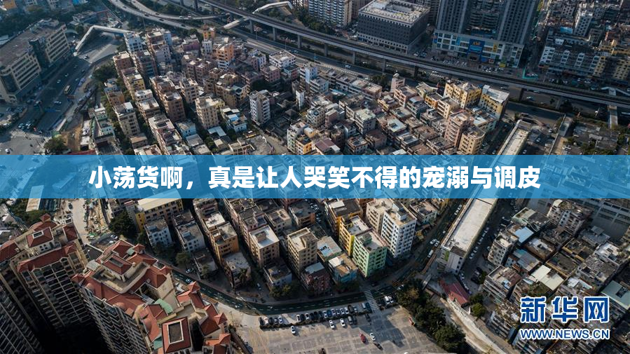 小荡货啊，真是让人哭笑不得的宠溺与调皮