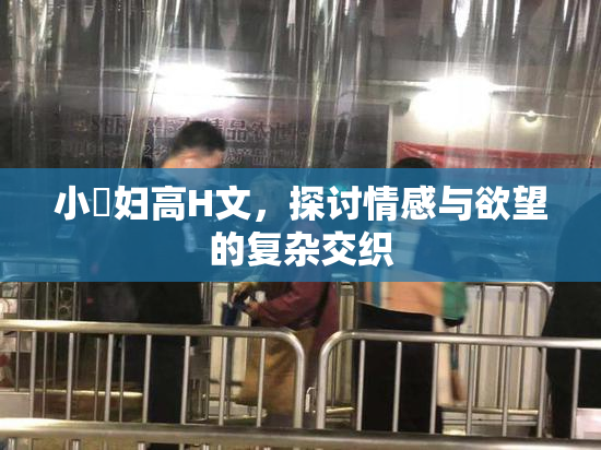 小婬妇高H文，探讨情感与欲望的复杂交织