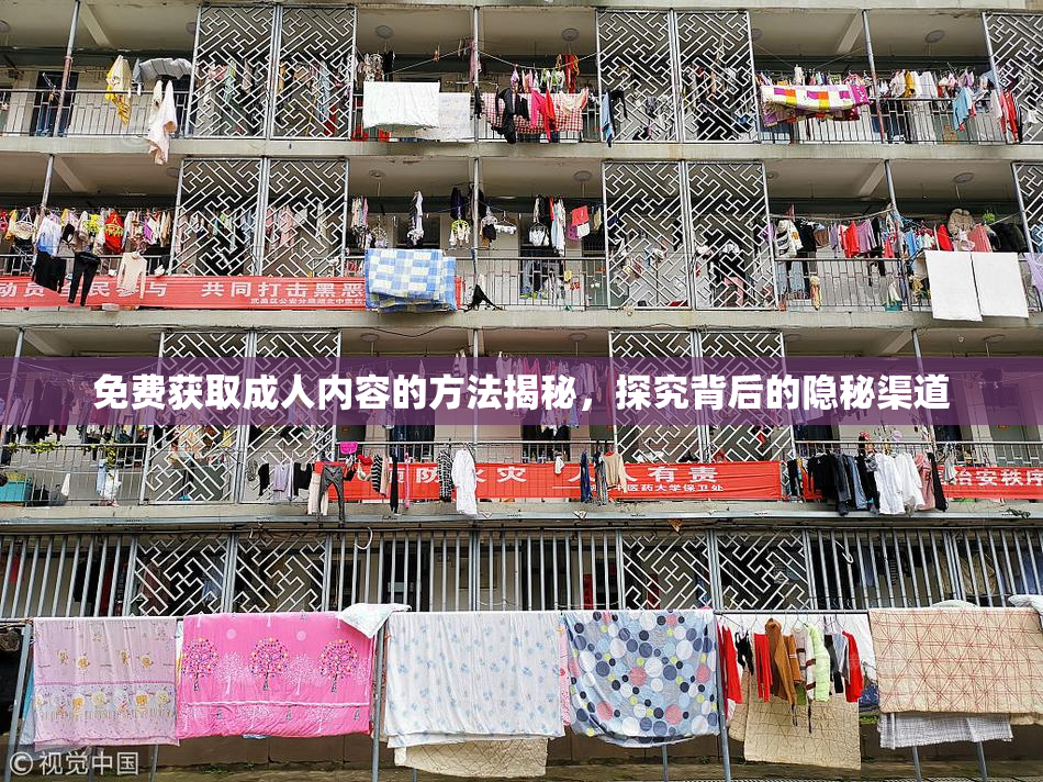 免费获取成人内容的方法揭秘，探究背后的隐秘渠道