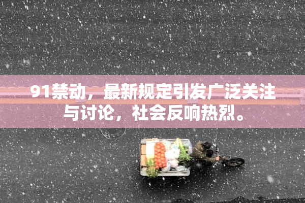91禁动，最新规定引发广泛关注与讨论，社会反响热烈。
