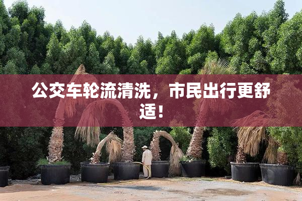 公交车轮流清洗，市民出行更舒适！