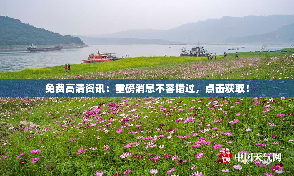 免费高清资讯：重磅消息不容错过，点击获取！
