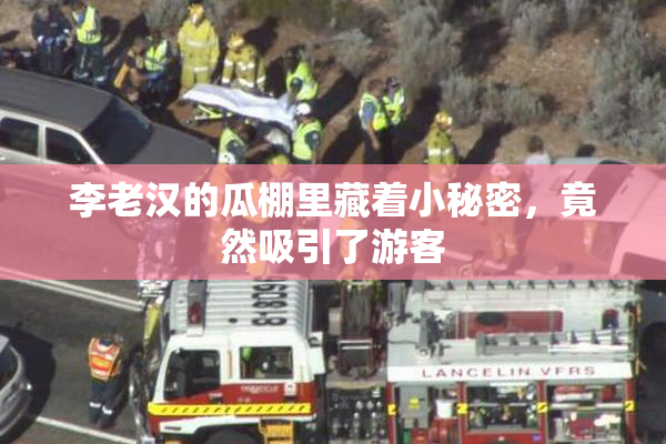 李老汉的瓜棚里藏着小秘密，竟然吸引了游客