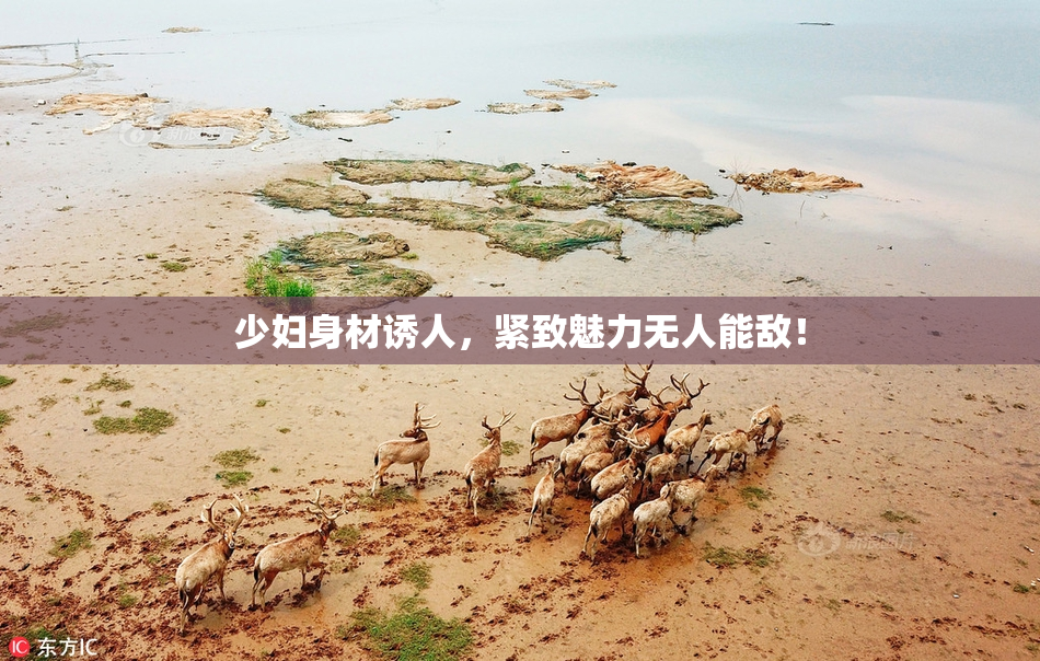 少妇身材诱人，紧致魅力无人能敌！