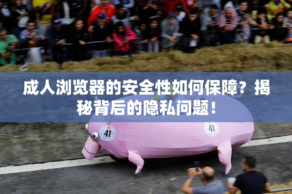 成人浏览器的安全性如何保障？揭秘背后的隐私问题！