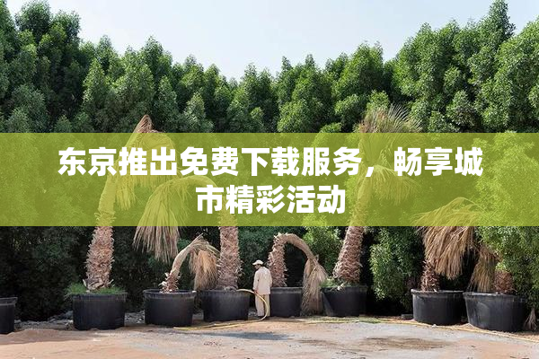 东京推出免费下载服务，畅享城市精彩活动