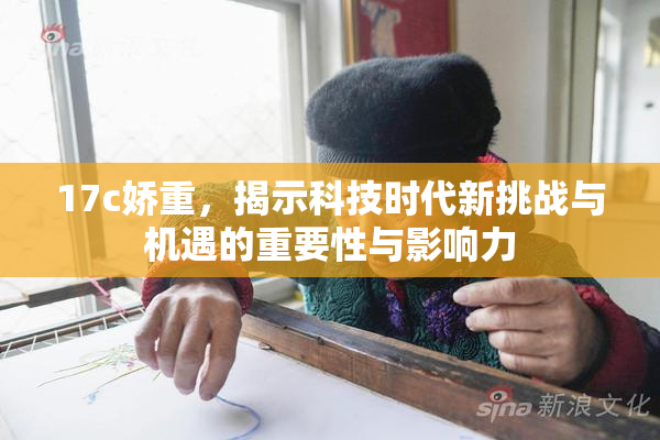17c娇重，揭示科技时代新挑战与机遇的重要性与影响力