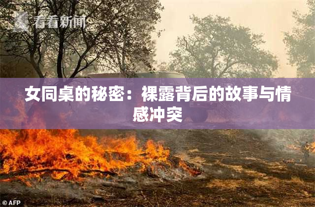 女同桌的秘密：裸露背后的故事与情感冲突
