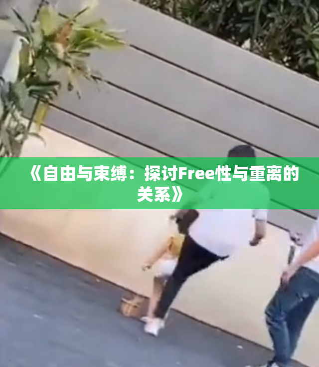 《自由与束缚：探讨Free性与重离的关系》