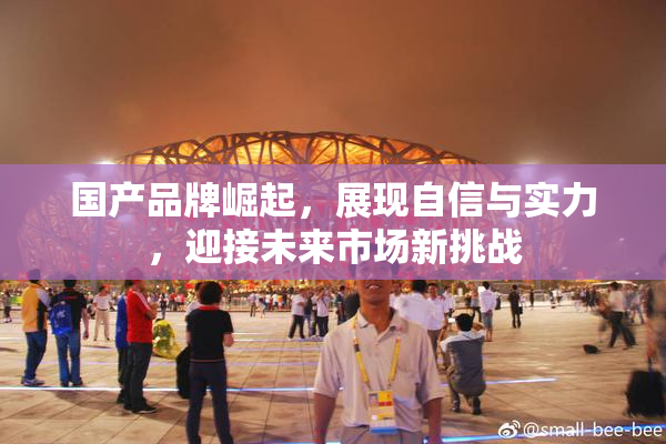 国产品牌崛起，展现自信与实力，迎接未来市场新挑战