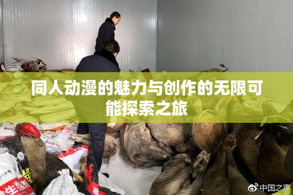 同人动漫的魅力与创作的无限可能探索之旅