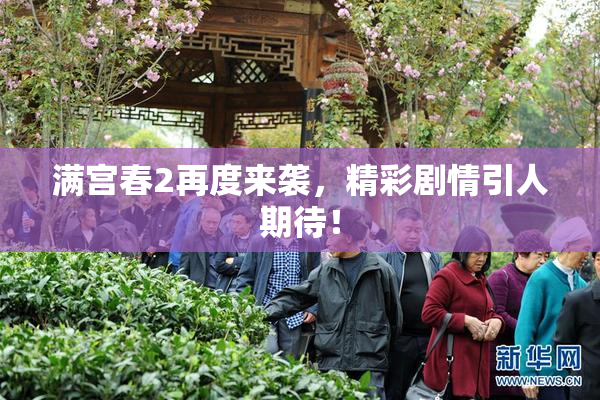 满宫春2再度来袭，精彩剧情引人期待！
