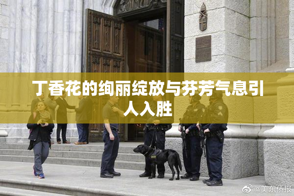 丁香花的绚丽绽放与芬芳气息引人入胜