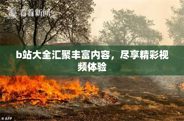 b站大全汇聚丰富内容，尽享精彩视频体验